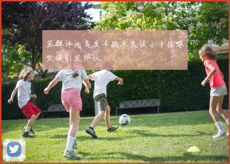 苏群评论乌度卡战术失误小卡接球失误引发热议