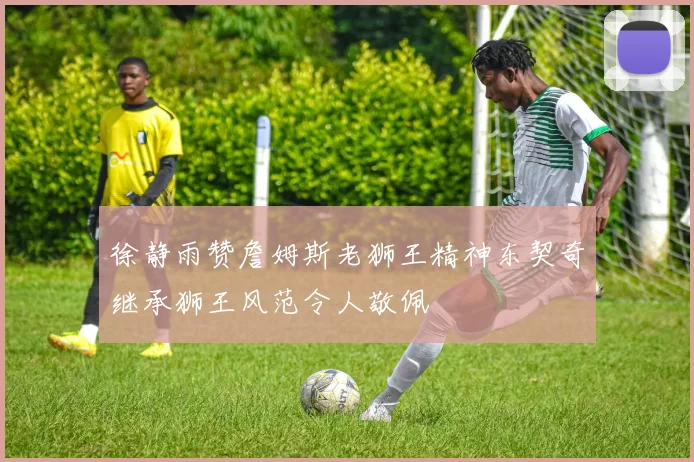 徐静雨赞詹姆斯老狮王精神东契奇继承狮王风范令人敬佩