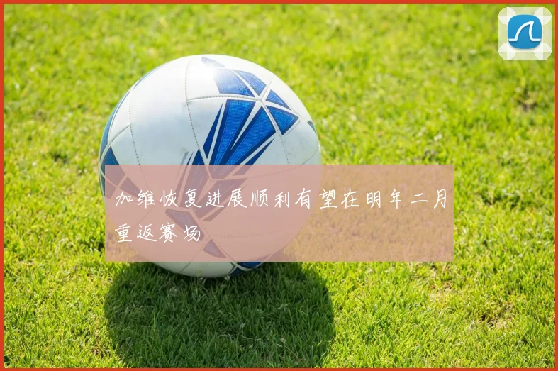 加维恢复进展顺利有望在明年二月重返赛场