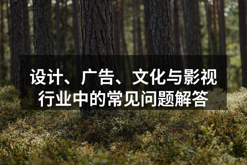 设计创意与市场调研